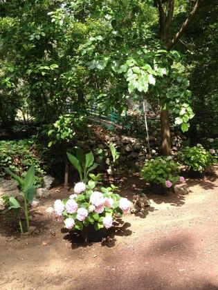 Yörük Park Pansiyon & Restaurant - Görsel 5