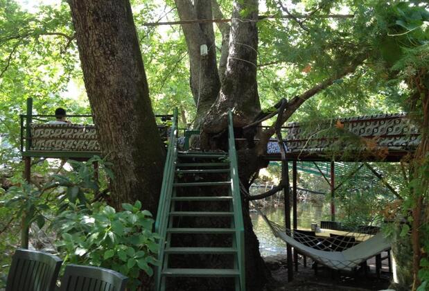 Yörük Park Pansiyon & Restaurant - Görsel 4