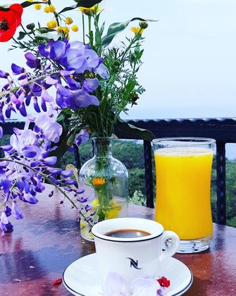 Casa Roja Faralya - Görsel 7