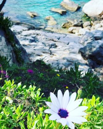 Casa Roja Faralya - Görsel 12