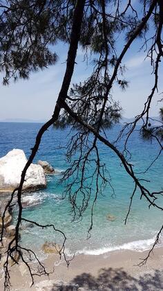 Casa Roja Faralya - Görsel 20