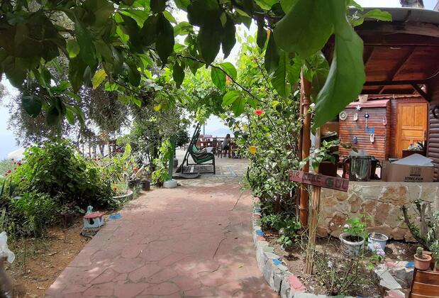 Casa Roja Faralya - Görsel 19