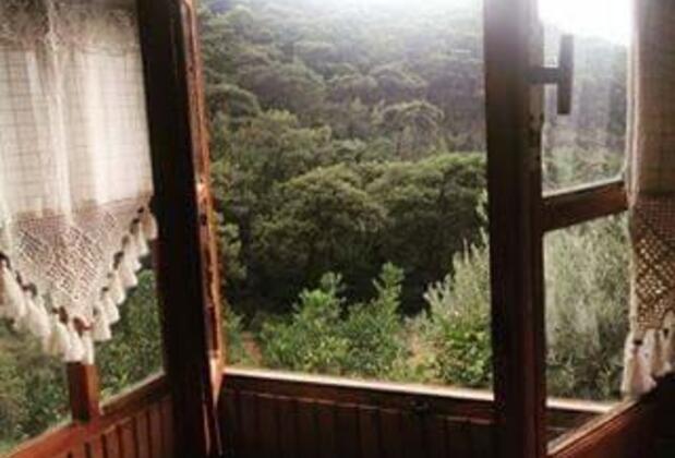 Casa Roja Faralya - Görsel 25