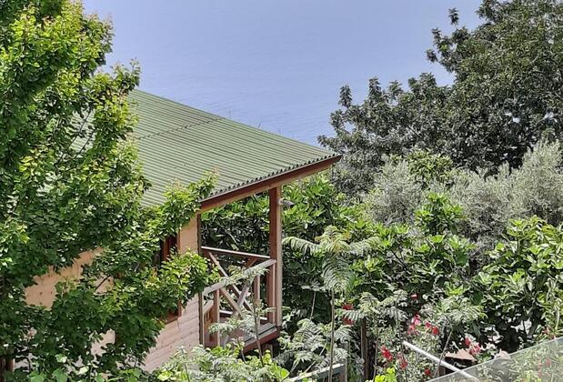 Casa Roja Faralya - Görsel 27