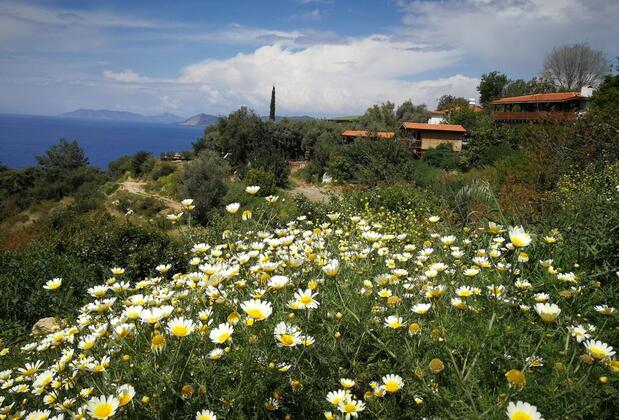 Casa Roja Faralya - Görsel 30
