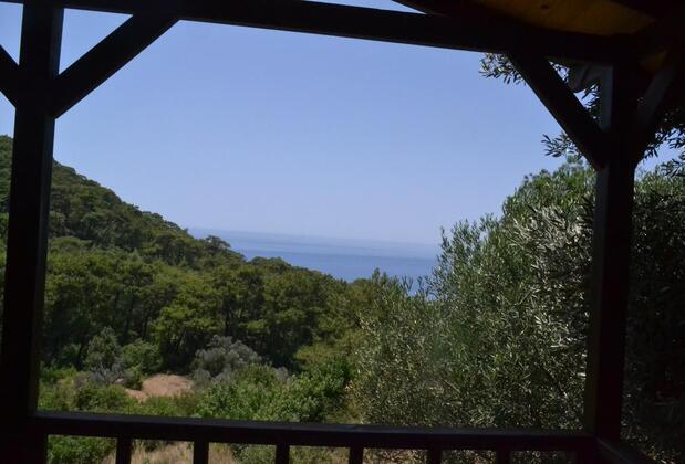 Casa Roja Faralya - Görsel 31