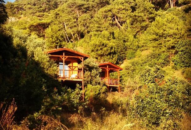 Casa Roja Faralya - Görsel 33