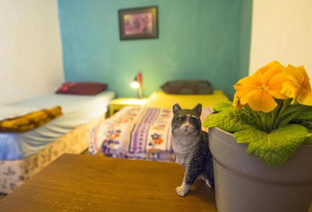 Shantihome Hostel - Görsel 47