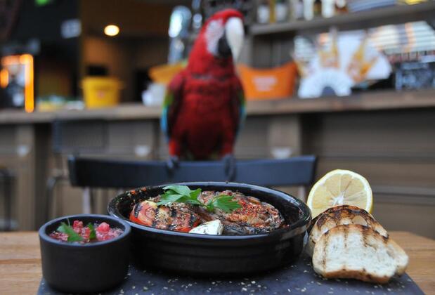 Eva Boutique Hotel - Görsel 3