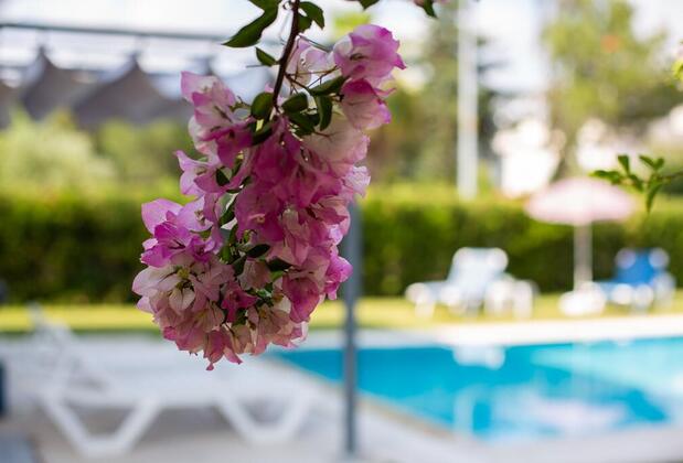 EV Villas - Görsel 21