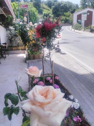 New Beylerbeyi Hotel - Görsel 3