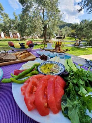 Yiva Otel Kazdağları - Görsel 23