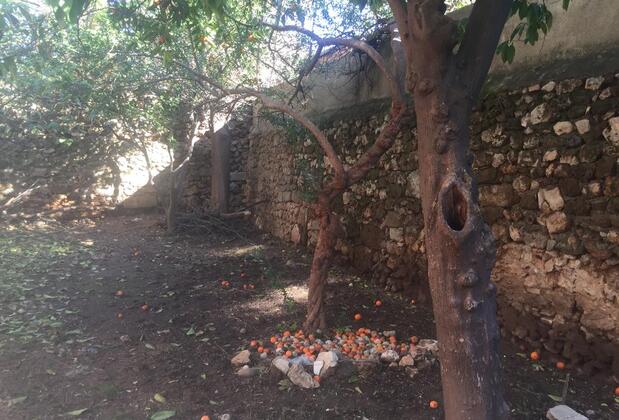 Antique House Antalya - Görsel 6