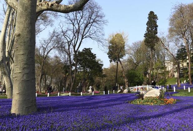 Elenaz Hotel - Görsel 24