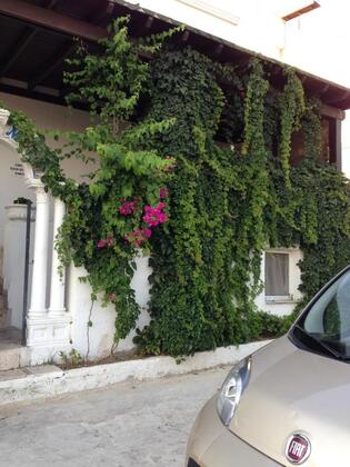 Pasha Motel Bodrum - Görsel 19