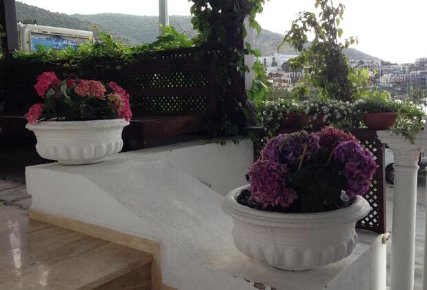 Pasha Motel Bodrum - Görsel 28