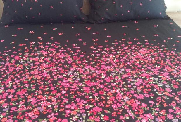 Nelly Guesthouse - Görsel 6