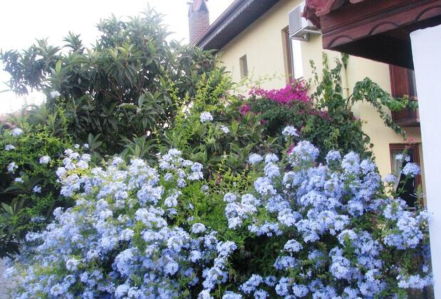 Kybele Hotel Göcek - Görsel 11