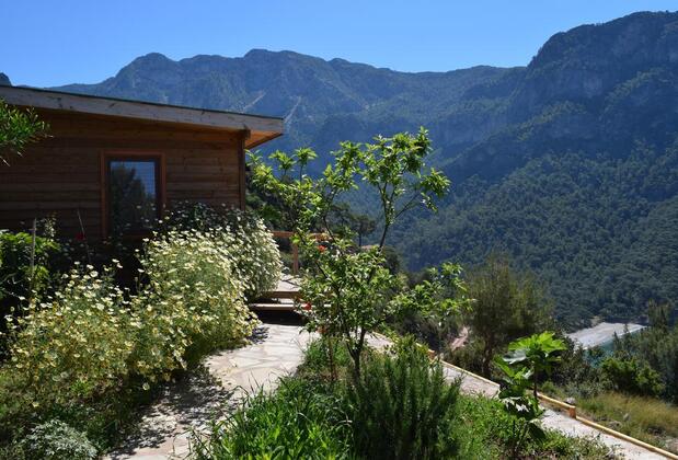Kabak Avalon Bungalows - Görsel 3