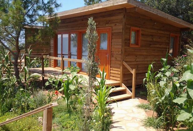 Kabak Avalon Bungalows - Görsel 7