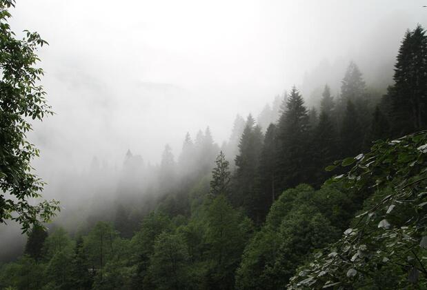 Ayder İmamoğlu Apart Otel - Görsel 3