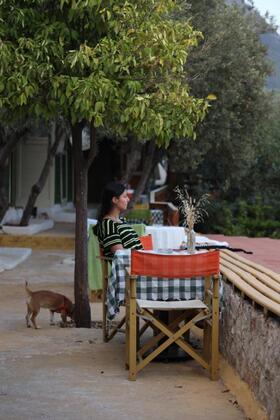 Can Mocamp Hotel - Görsel 3