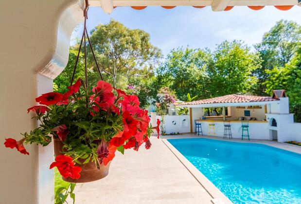 Calypso Cozy - Görsel 32