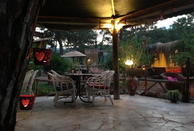 Koala Bungalows - Görsel 16