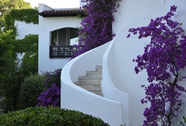 Emelda Sun Club  - Görsel 3