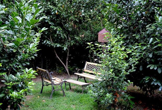 Maşukiye Butik Hotel - Görsel 6