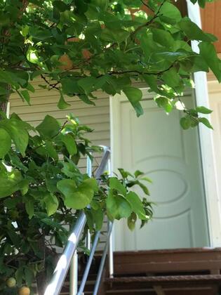 Likya Pansiyon - Görsel 6