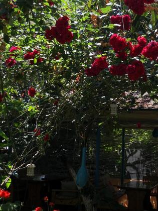 Likya Pansiyon - Görsel 10