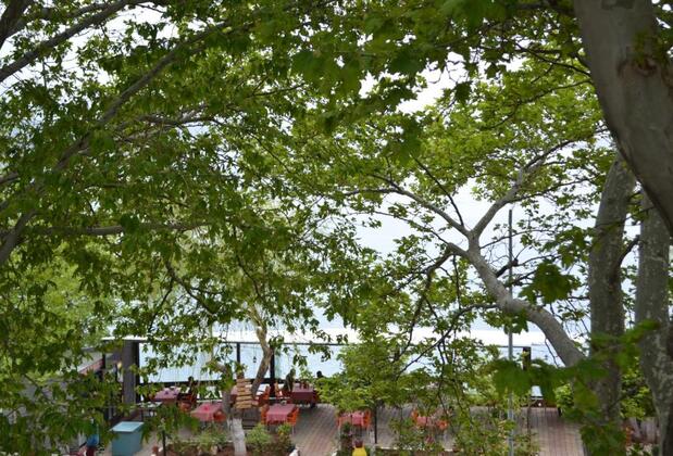 Choo Choo Pension - Görsel 12