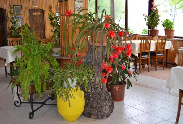 Choo Choo Pension - Görsel 10