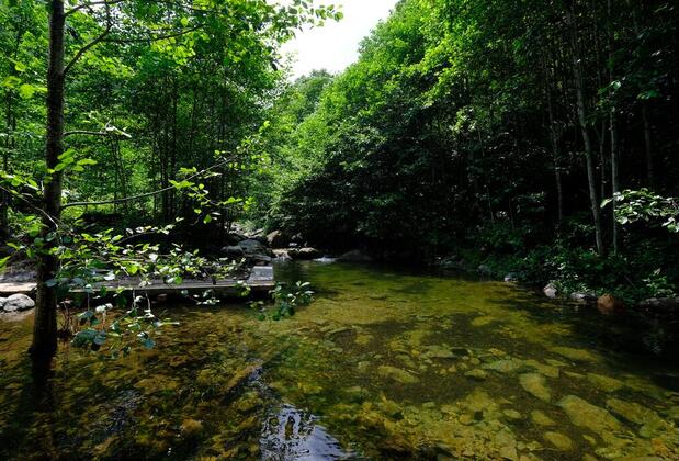 Nordic Otel - Görsel 7