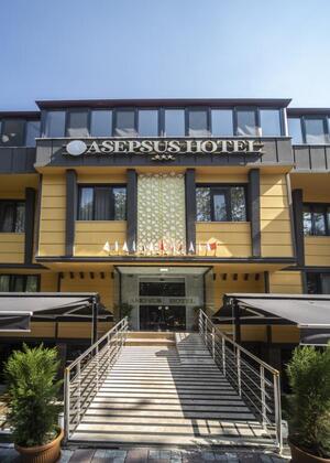 Asepsus Hotel - Görsel 6