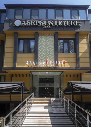 Asepsus Hotel - Görsel 5