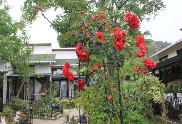 Beachwood Villas - Görsel 12