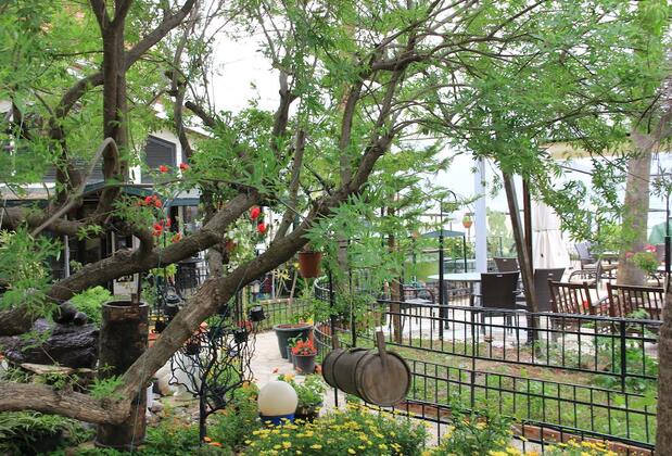 Beachwood Villas - Görsel 18