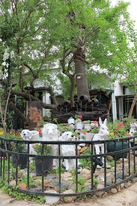 Beachwood Villas - Görsel 19