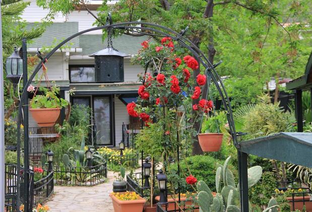 Beachwood Villas - Görsel 21