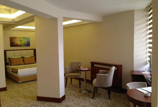 Asrın Business Hotel - Görsel 39