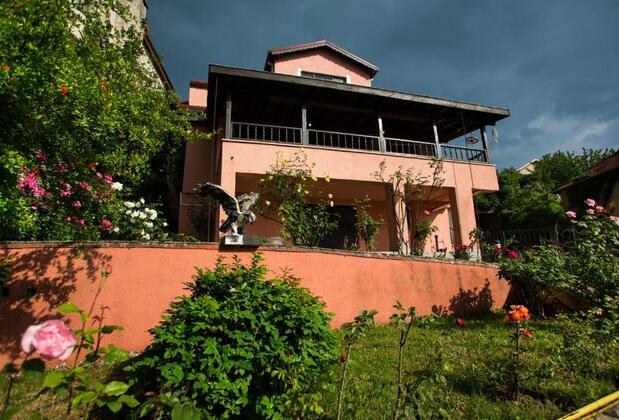 Yaprak Dağevi - Görsel 6