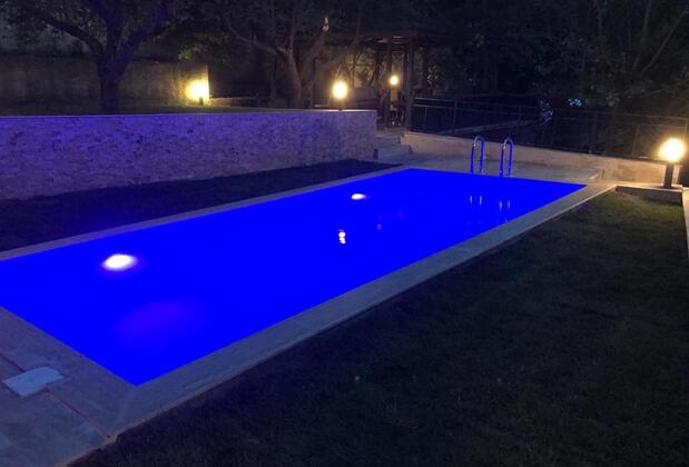 Yaprak Dağevi - Görsel 13