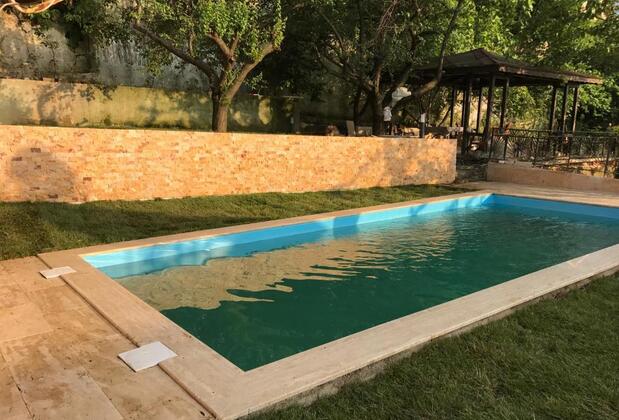 Yaprak Dağevi - Görsel 50