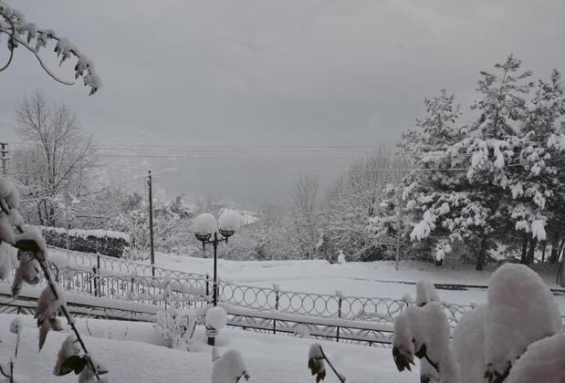 Yaprak Dağevi - Görsel 9