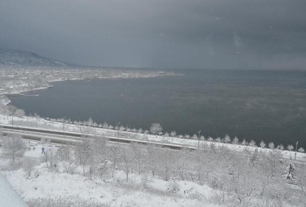 Yaprak Dağevi - Görsel 8