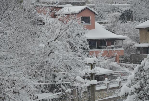 Yaprak Dağevi - Görsel 7