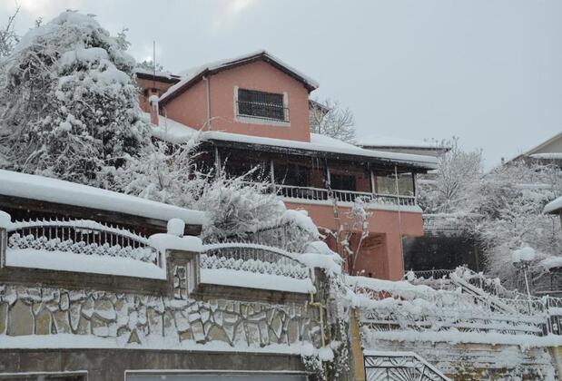 Yaprak Dağevi - Görsel 5