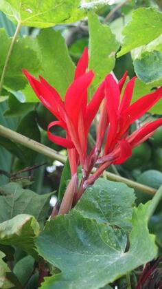 Emelce Apart - Görsel 14